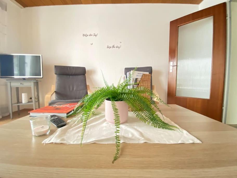 Cozy Home In South-Germany Klettgau Екстериор снимка